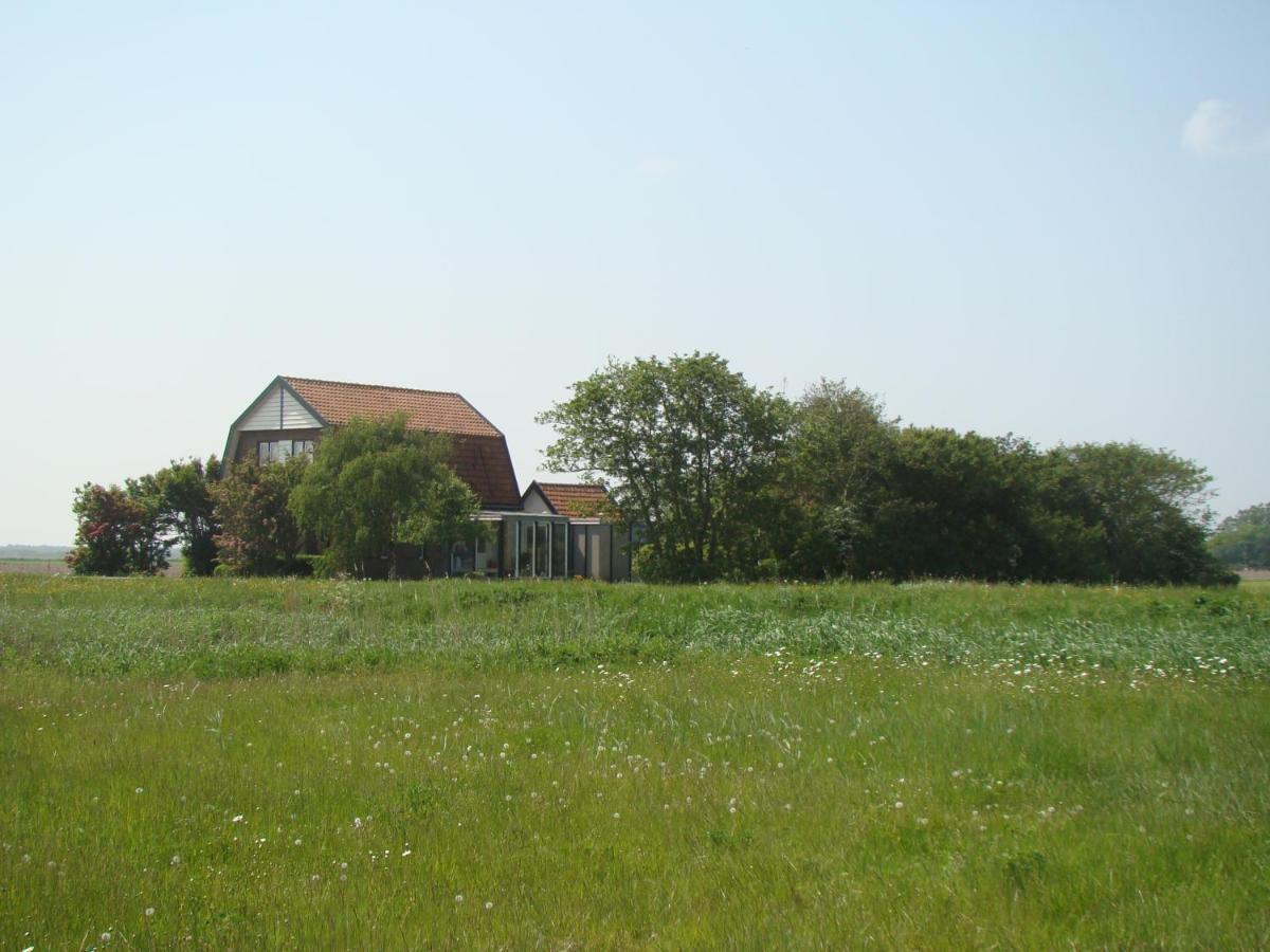 B&B Zuiderkreek De Cocksdorp  Exterior photo